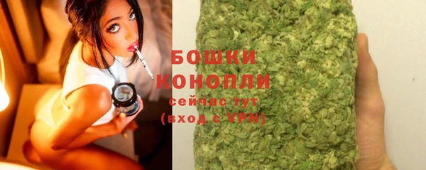apvp Гусев