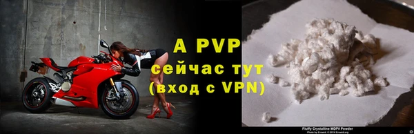 амф Гусиноозёрск