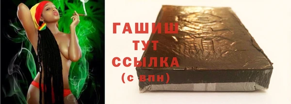 apvp Гусев