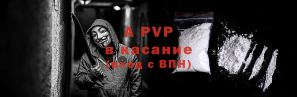 амф Гусиноозёрск