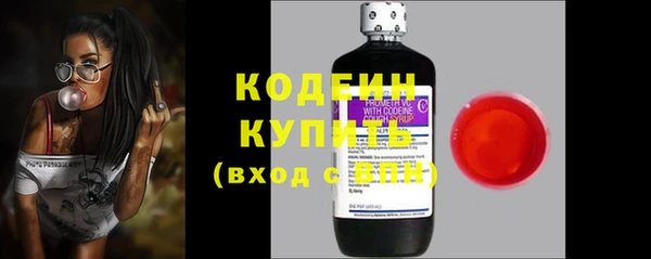 амф Гусиноозёрск