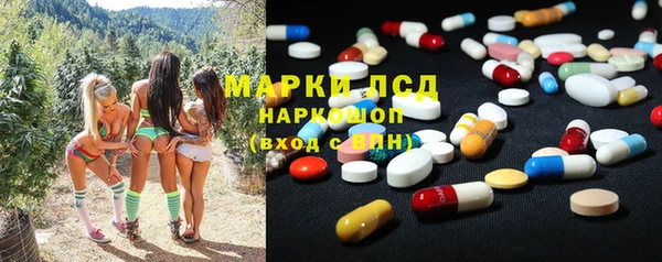 амф Гусиноозёрск