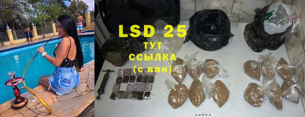 амф Гусиноозёрск