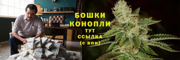 амф Гусиноозёрск