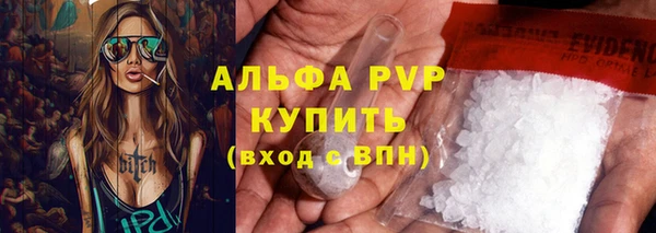 apvp Гусев